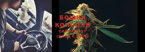 ешки Кодинск