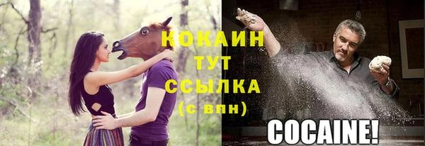 соль ск Костерёво