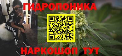 ешки Камышлов