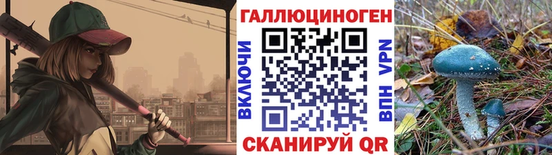 Купить где  Кохма  Галлюциногенные грибы Psilocybe 
