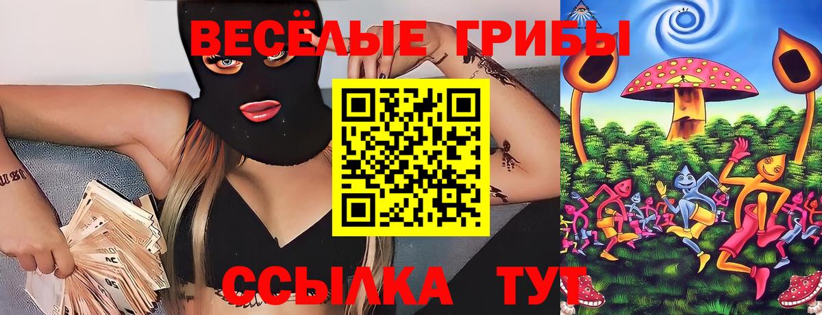 Кохма  Галлюциногенные грибы ЛСД  купить   Вход с VPN 