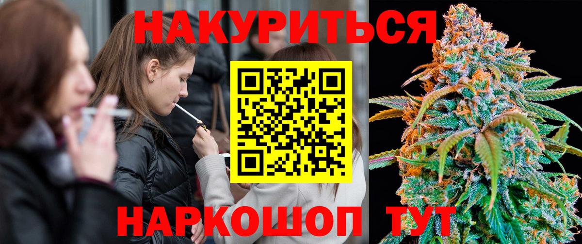 Канабис конопля Кохма